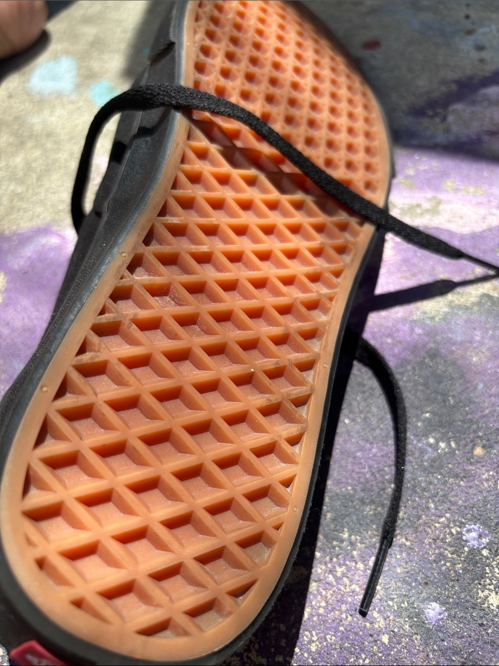Vans Black Canvas Low-Top Sneaker - Picture 4 of 5